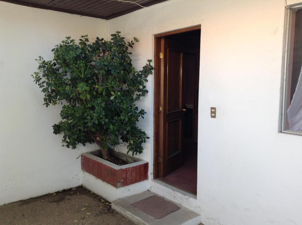 Hotel Alicante Chillán Kültér fotó